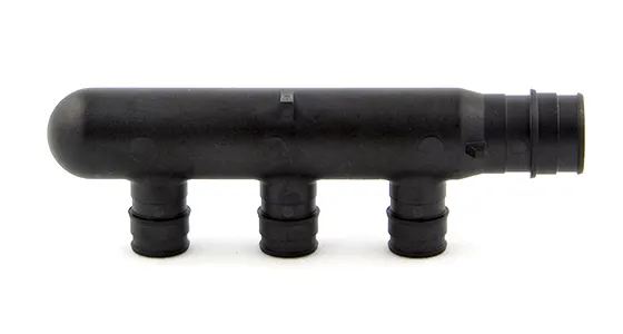 Q2237550_EPBrchMPTeeF